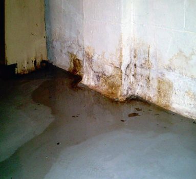 Wall-Dampness